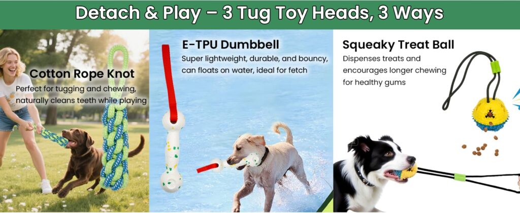 🧩 4-PIECE INTERACTIVE DOG TOY SET – Includes 1 durable bungee rope and 3 interchangeable toys: a cotton rope knot, a lightweight ETPU bone, and a squeaky treat ball. Attach to the rope or use separately for tug of war, chewing, fetching, or enrichment play.
