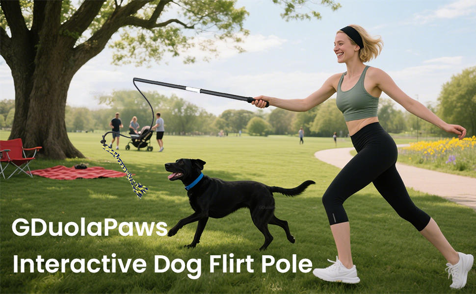 Flirt Pole for Dogs,Heavy Duty 4 Pieces Set with 3 Lures,Interactive Teaser Wand for Small Medium Large Pets,Durable Flirt Stick for Chase,Outdoor Tether Play,Exercise,Training