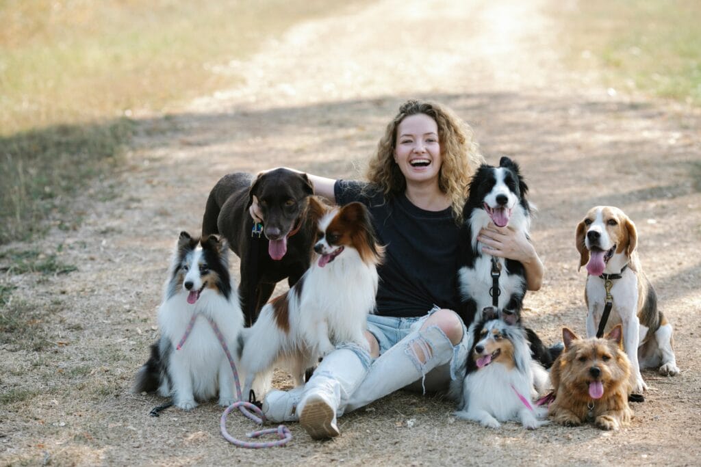 A cheerful woman sitting on a path, surrounded by various happy dogs in a natural setting.