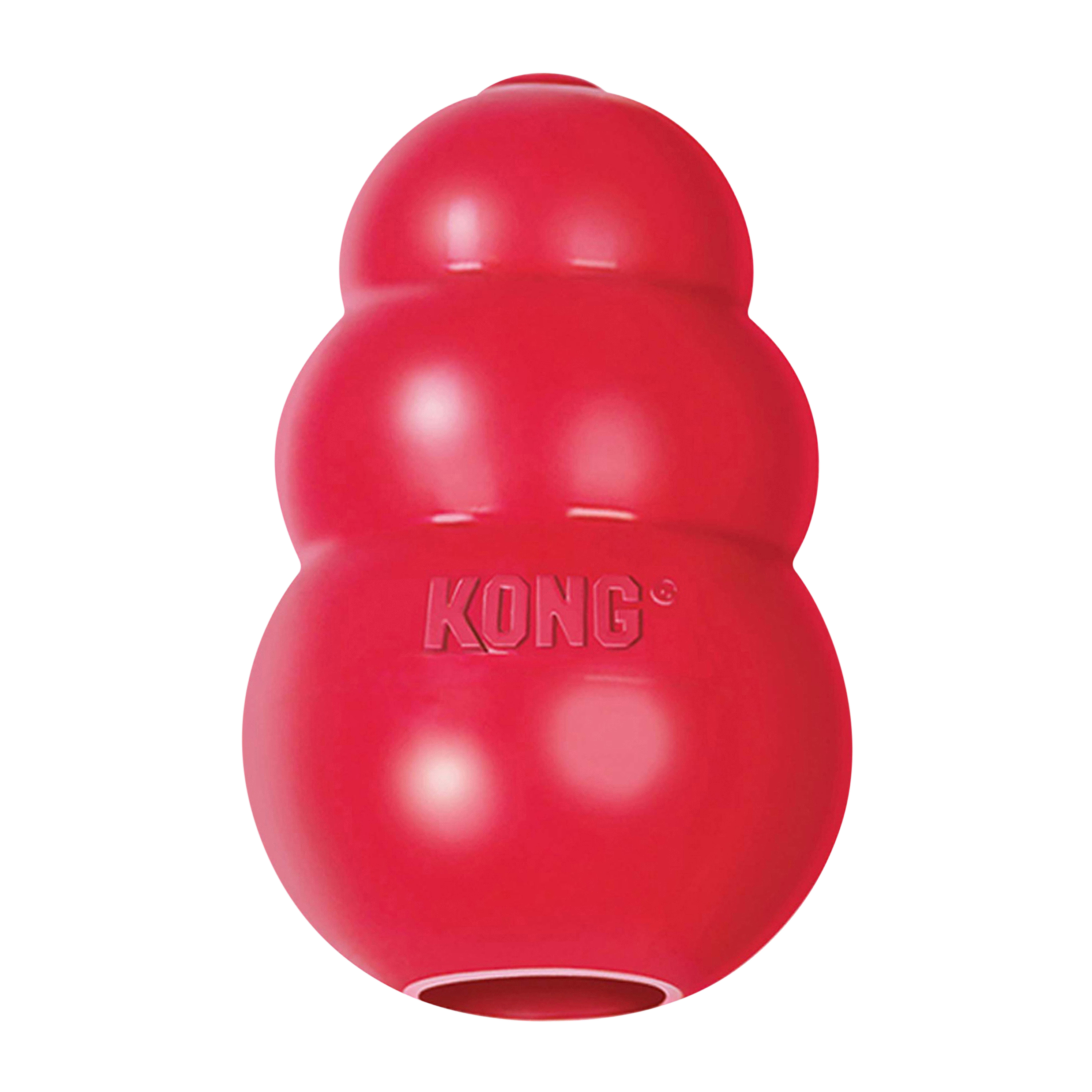 kong dog chew toy