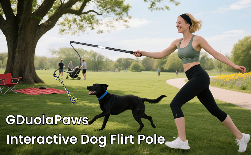 gduolapaws dog flirt pole