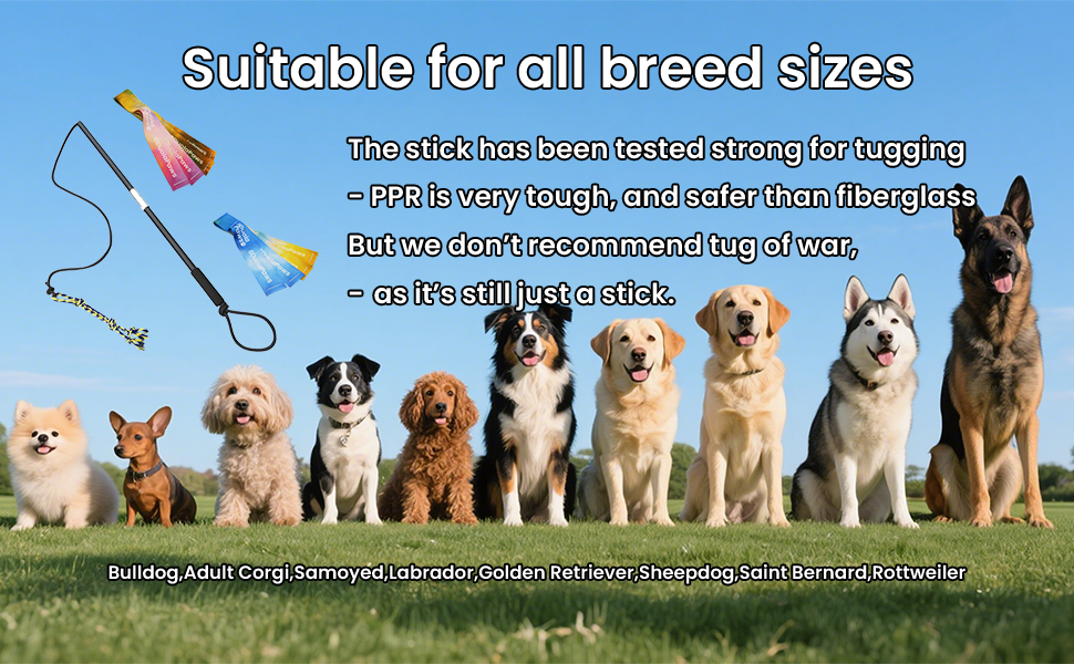 suitable for all dog size