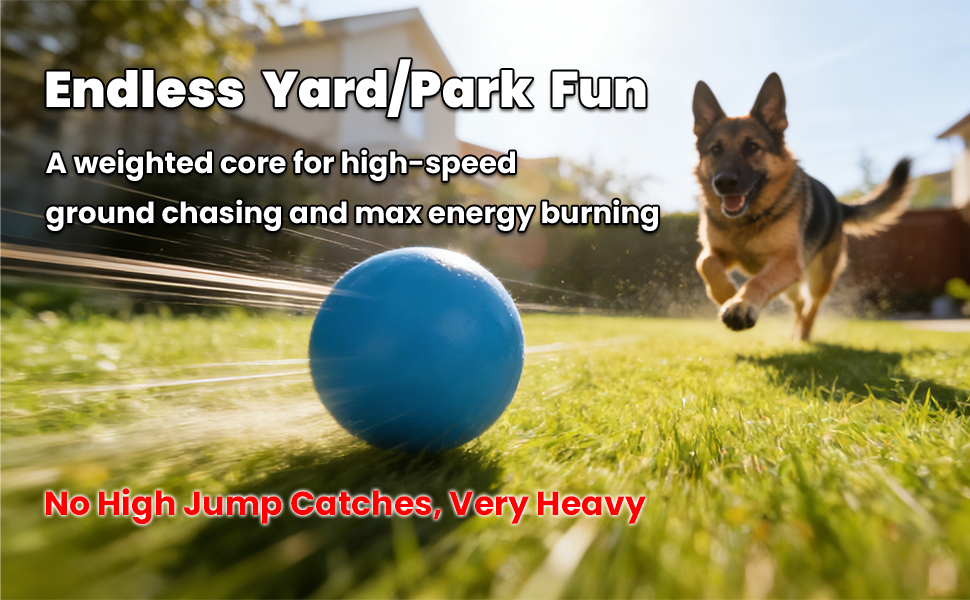 Endless Yard_Park Fun Endless-Yard_Park-Fun