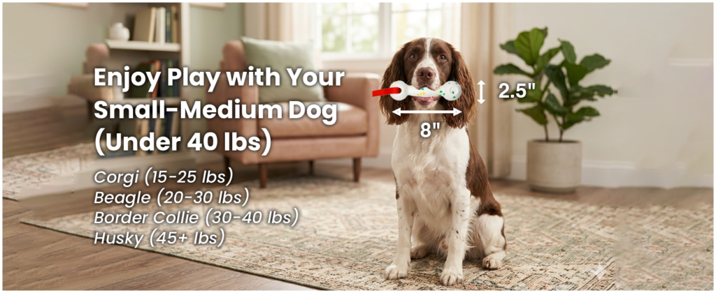 Enjoy Play with Your Small-Medium Dog