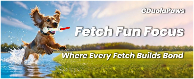 Fetch-Fun-Focus.png